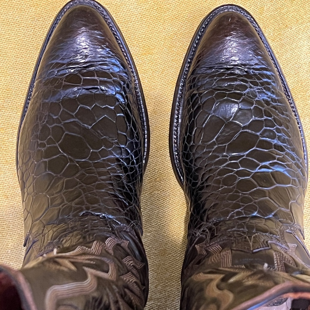 Rare Exotic Pre-Ban Justin Sea Turtle Boots - Picture 16 of 16